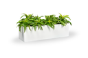 Monaco Rectangle Planter with plants, 26 in long