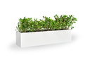 Monaco Rectangle Planter with plants, 32 in long