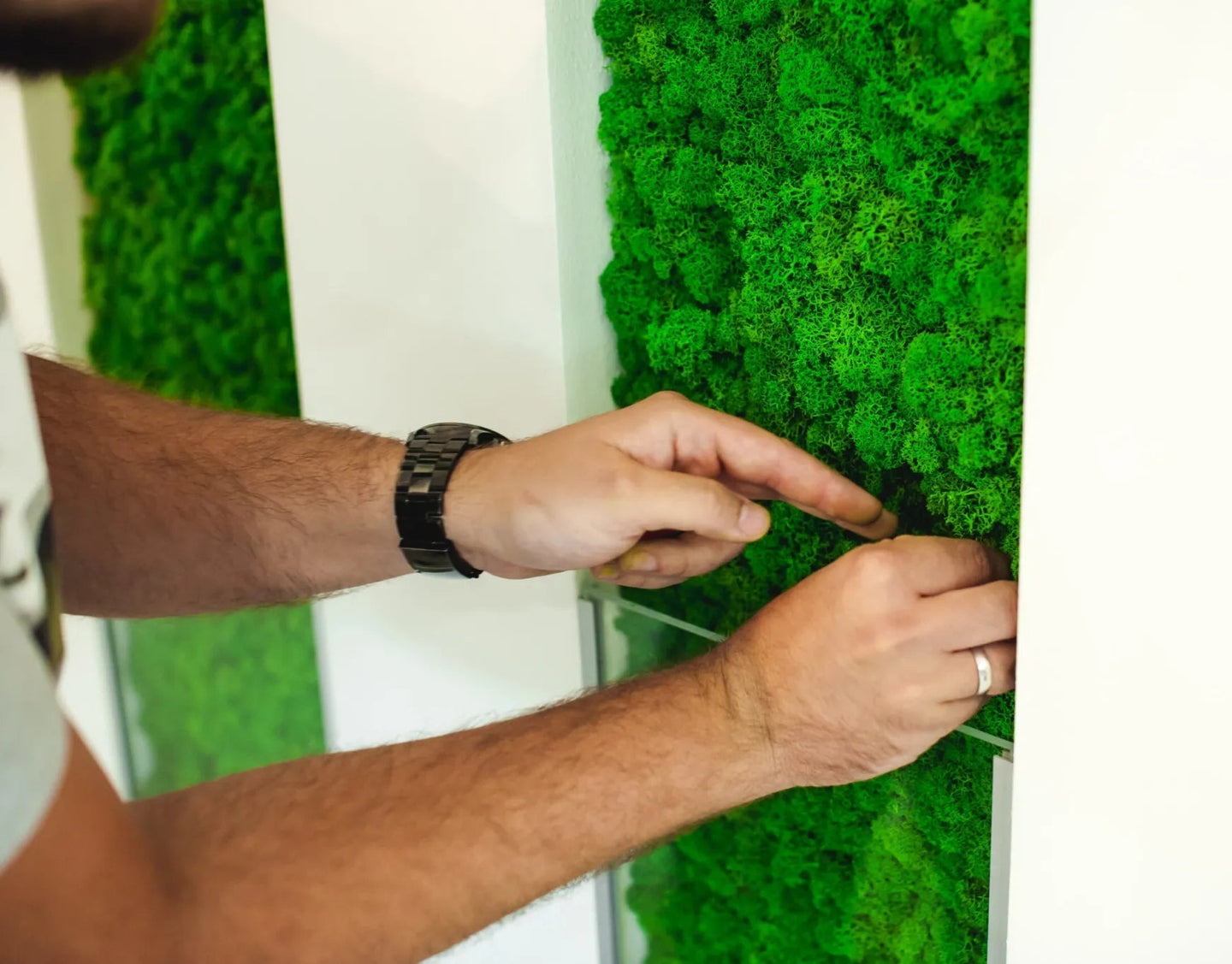 Moss Green Walls