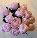 The Dozen – Preserved Peony Statement