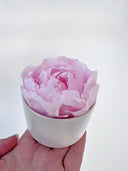Mini preserved peony held in the palm of a hand