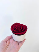 Close-up of the red preserved rose head in its mini ceramic vase