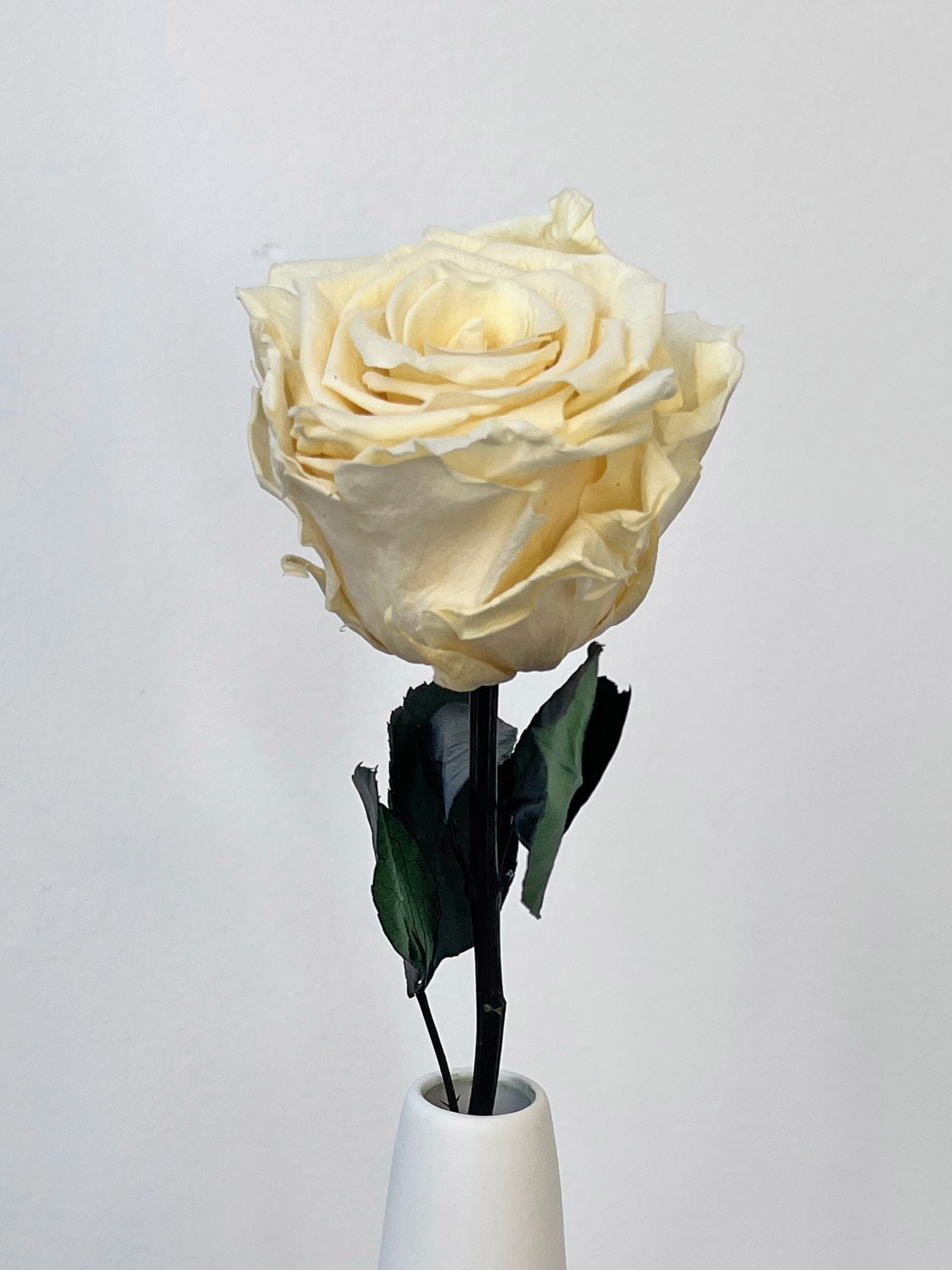 Zoomed product image