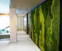 Corridors