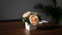 Peach preserved roses in a small white square vase on a dark wood table