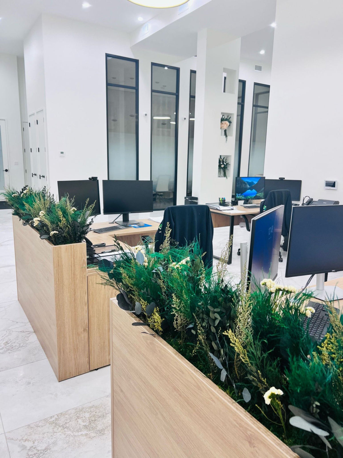Preserved foliage planter boxes dividing the desks in the Energy Plus open office