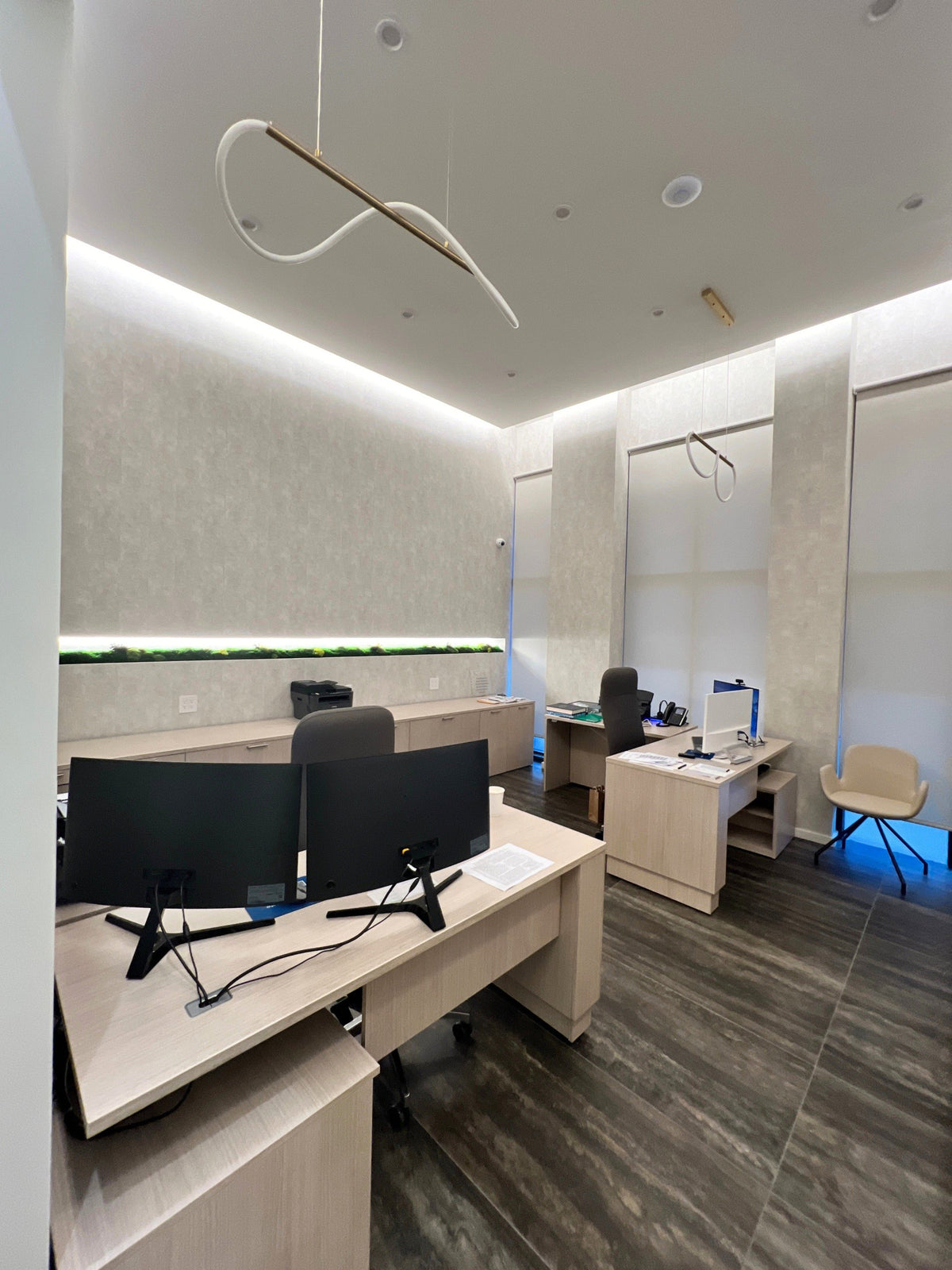 A preserved moss channel along the wall of an Energy Plus private office