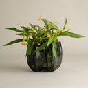 Hudson Small Vase shown with other vases