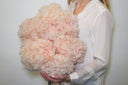 A florist holding an armful of blush pink preserved hydrangeas