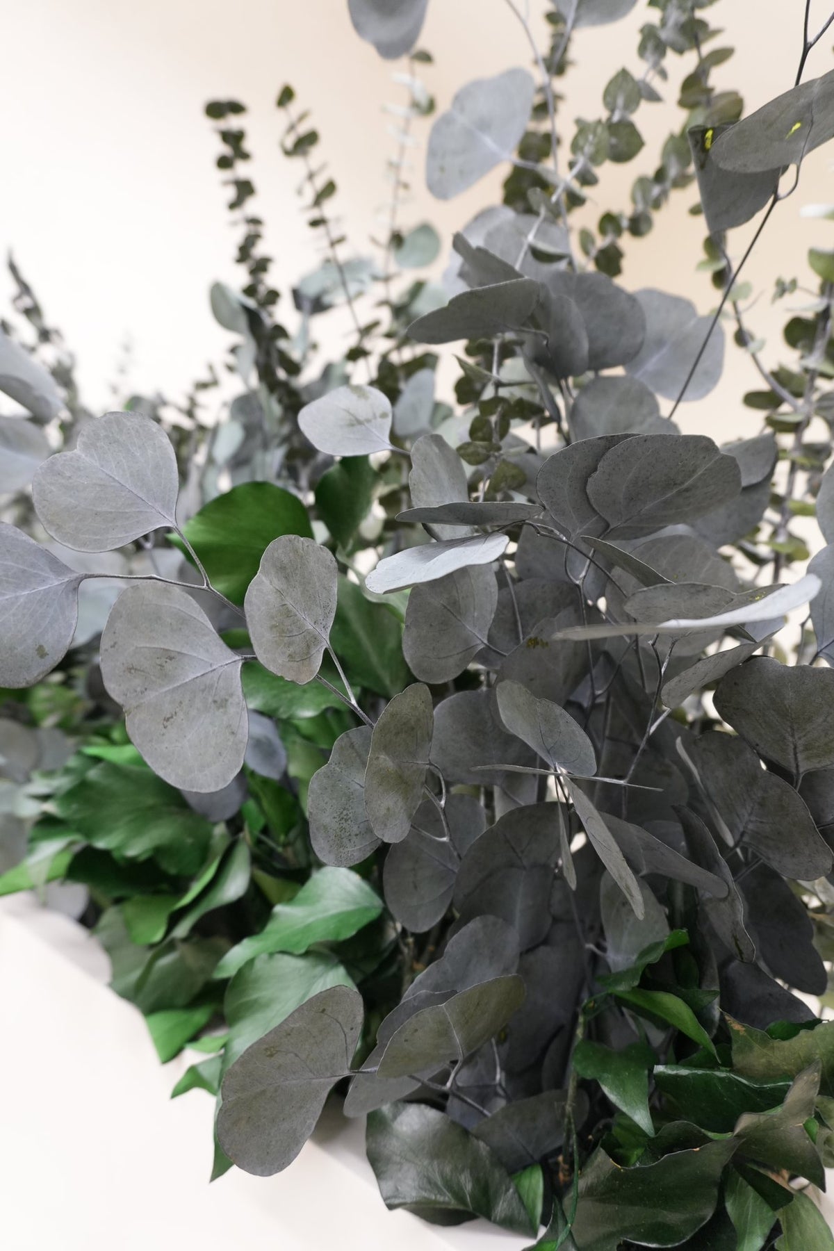 Preserved eucalyptus stems rising from a planter at Vivant Mind