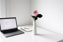 A single pink preserved rose in a slim white vase beside a laptop on a desk