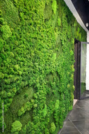 A floor-to-ceiling wall of preserved green moss beside a doorway