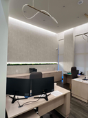 A line of preserved moss along a lit ledge in a private office
