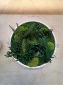 A round frame of preserved moss and ferns on a wall