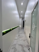 A long strip of preserved moss set into the wall of a white corridor