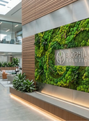 A preserved moss wall with a company sign set into it in an office atrium