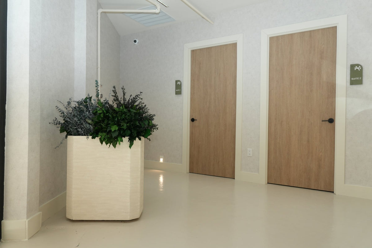 Preserved foliage in a tall textured planter beside a treatment room door at Vivant Mind