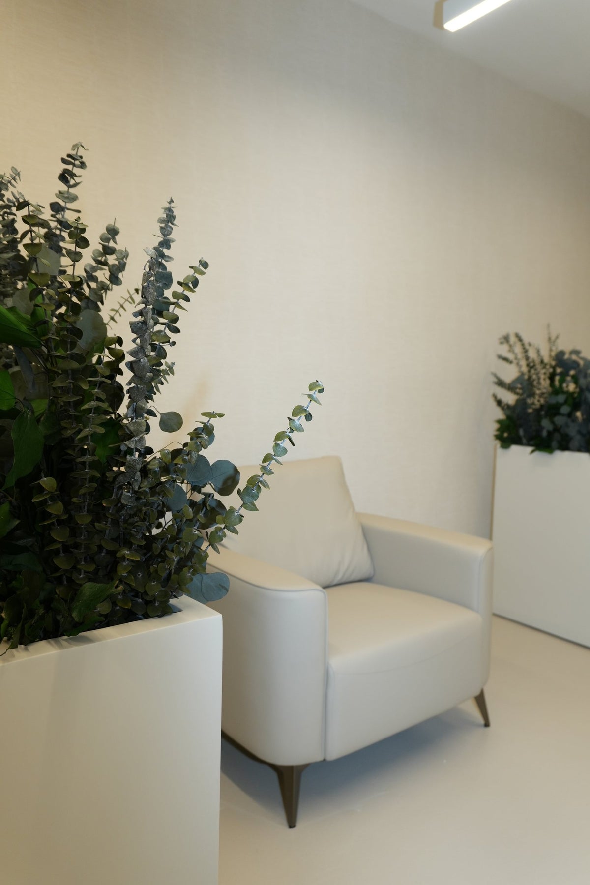 A cream armchair set between two planters of preserved eucalyptus at Vivant Mind
