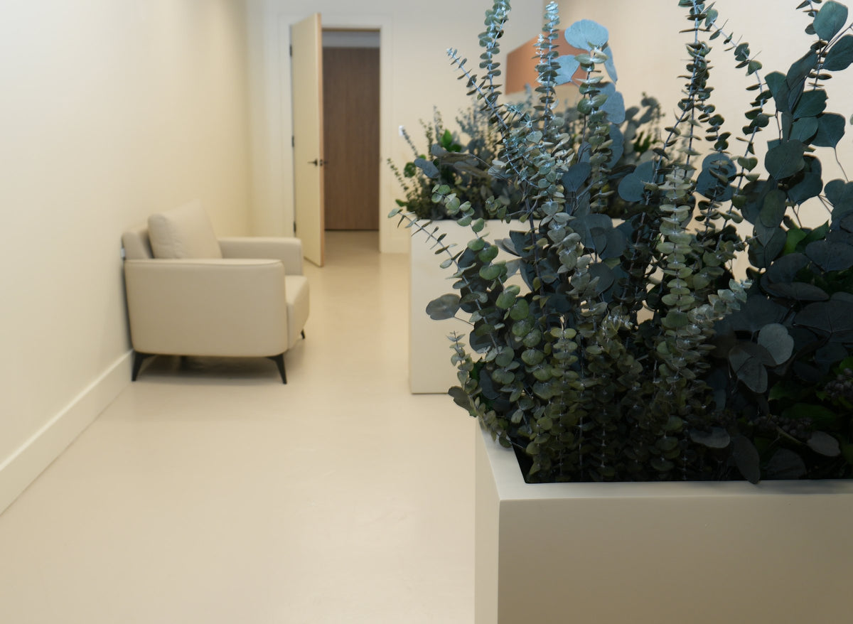 A trough planter of preserved eucalyptus along a Vivant Mind corridor, an armchair at the far end