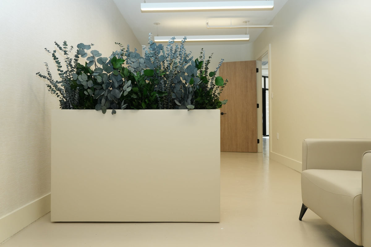 A white trough planter of preserved eucalyptus screening a seating area from the corridor at Vivant Mind