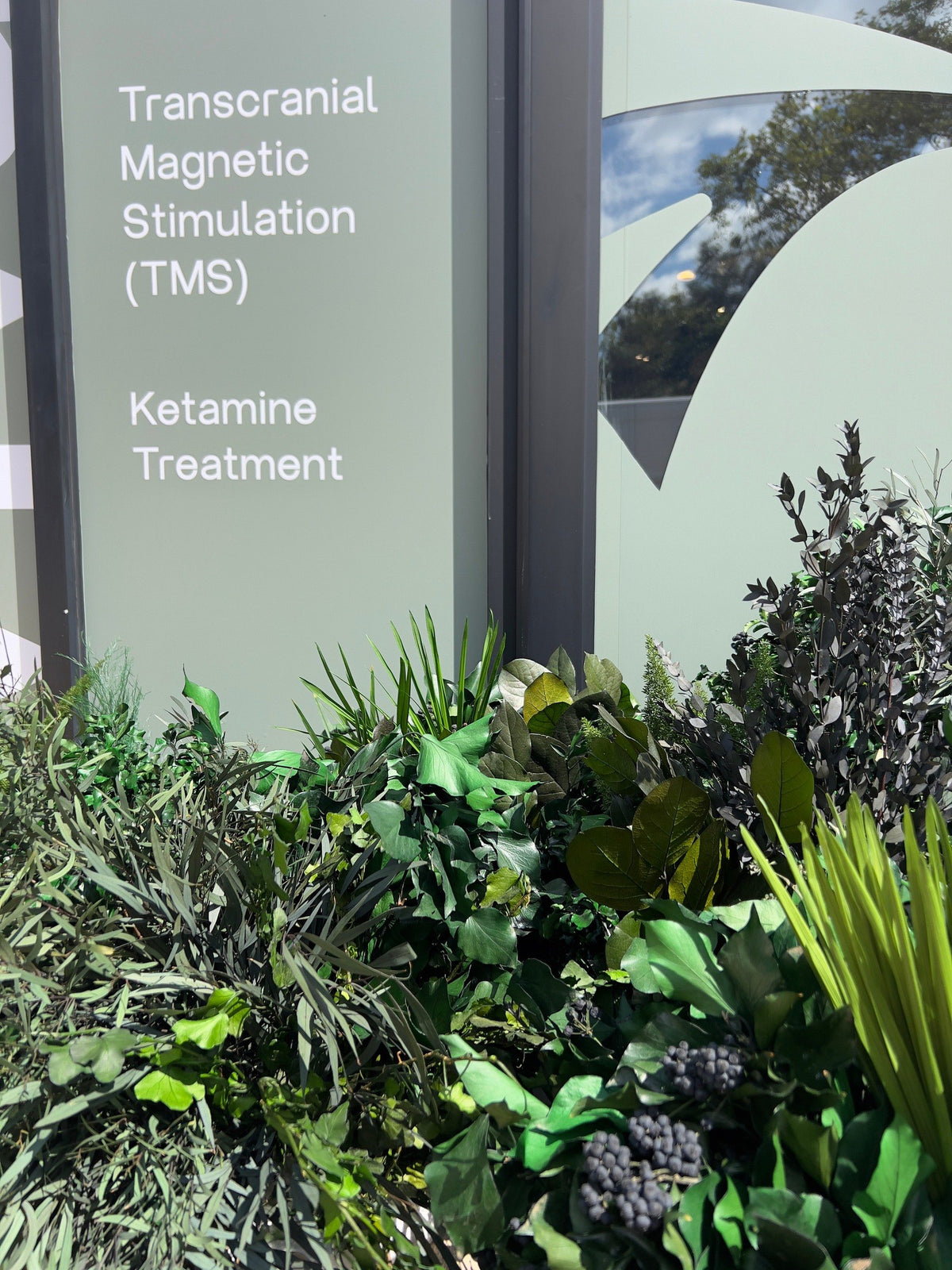 Preserved greenery planted below the TMS and ketamine treatment sign at Vivant Mind
