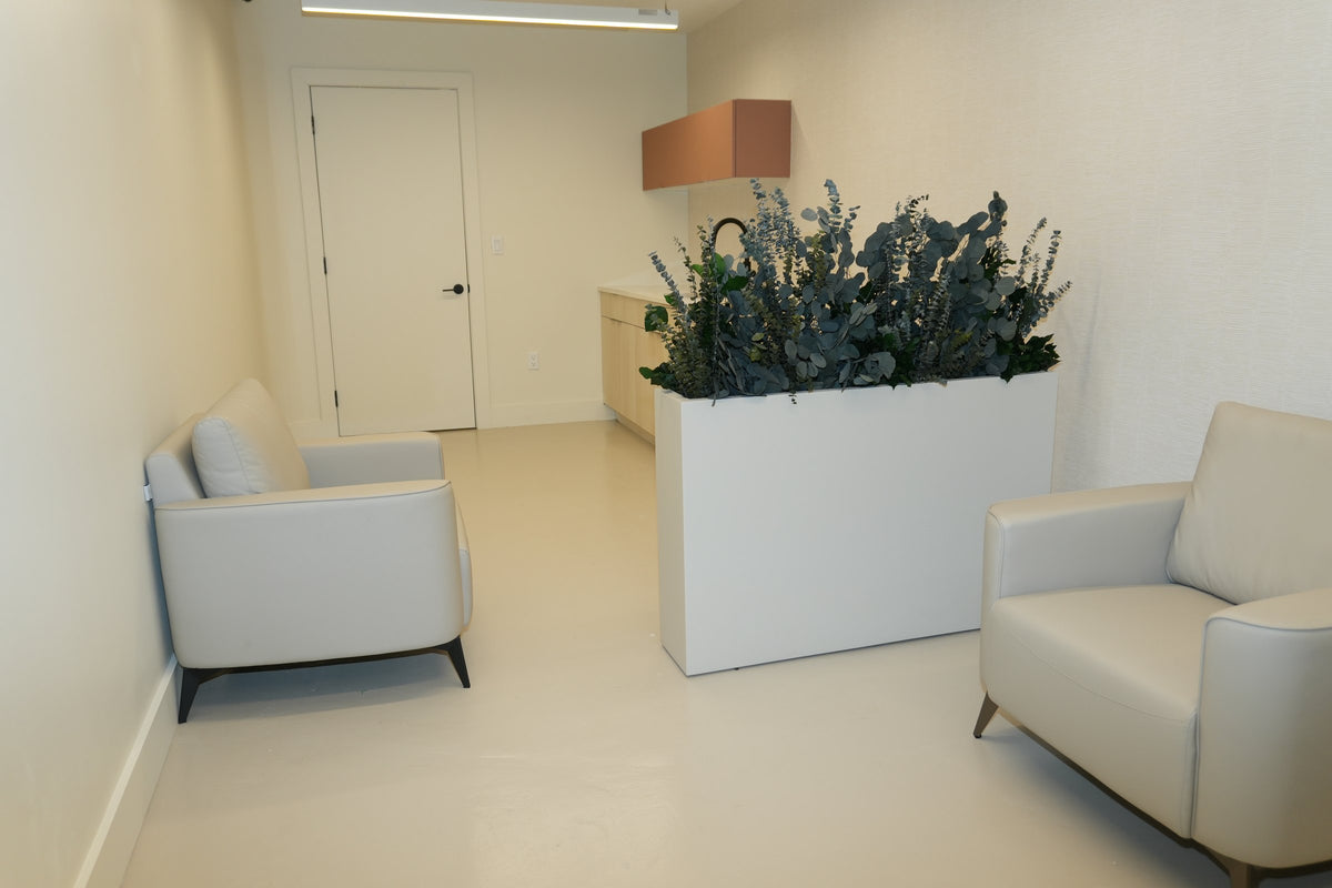 A trough planter of preserved eucalyptus between two cream armchairs in the Vivant Mind lounge