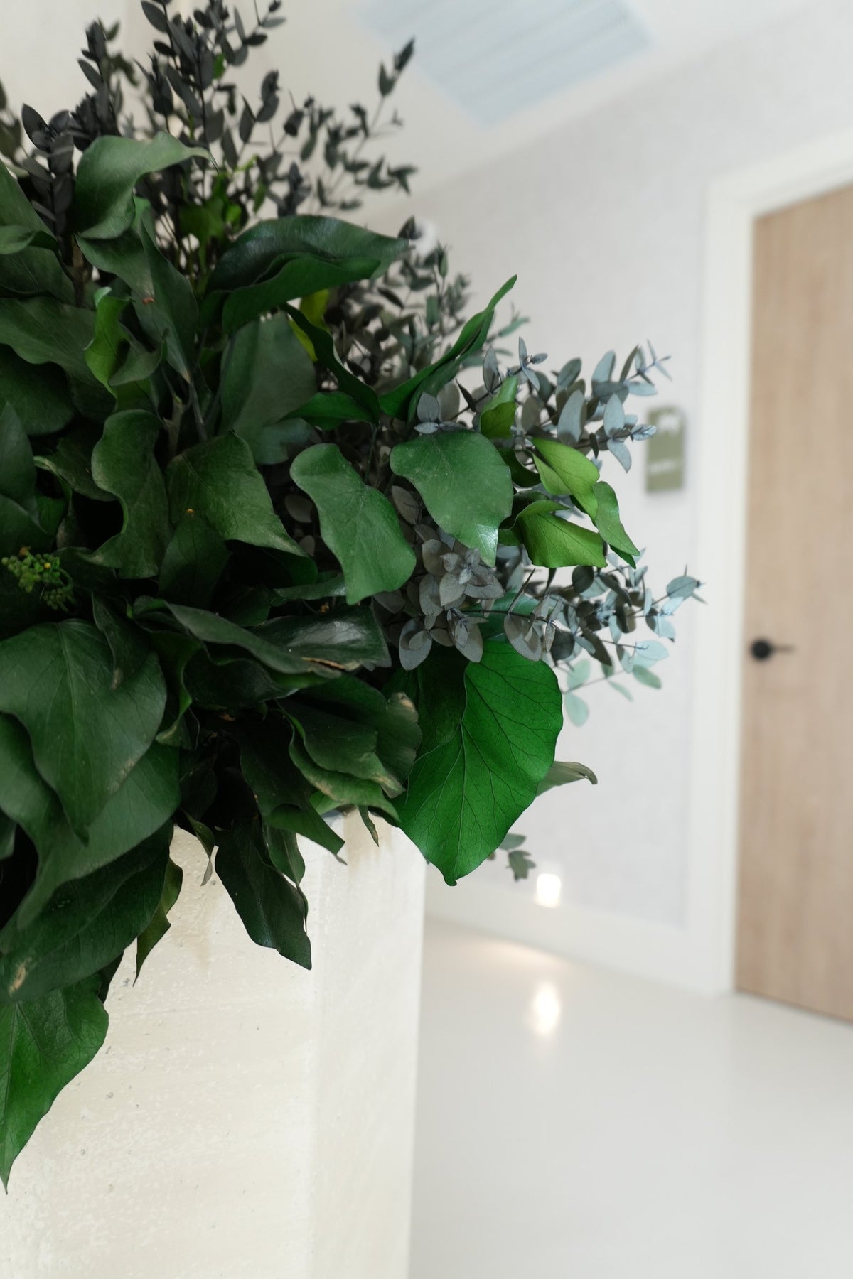 Preserved green foliage in a tall cream planter beside a door at Vivant Mind